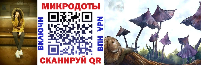 Галлюциногенные грибы Magic Shrooms  Купить где  Кунгур 
